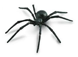 The toxin of the female. Collecta Insects Collecta Black Widow Spider 88884