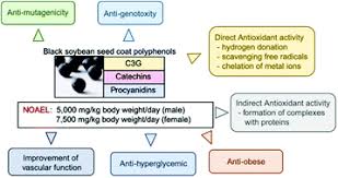 Cigarette smoking, unhealthy diets, overuse of alcohol, and physical inactivity are some of the most common lifestyle habits that cause chronic diseases such as obesity, hypertension, diabetes. Food Function Recent Hot Articles Home