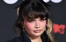 Who is celebrity lawyer Marty Singer?