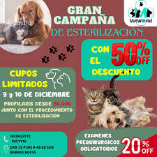 VETWORLD CLINICA VETERINARIA