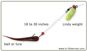 There are different types of saltwater fishing rigs that you can use to catch fish. Bottom Lures Sliding Sinker Rig Vermont Fish Wildlife Department