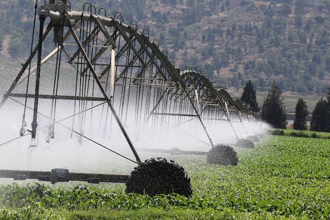 Next-generation irrigation securing the future of global agriculture, AI generated