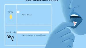 In the standard 5 way test you should be alright. How Long Does Lsd Acid Stay In Your System