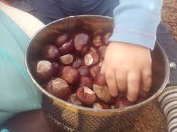 Herbstliche Spiele Turnen Im Kindergarten Turnen Mit Kindern Spiele
