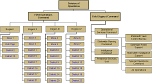 77 Thorough Police Department Hierarchy Chart