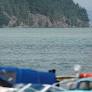 Investigation Deepens Following Boat Collision Near Tjörn with Two Missing