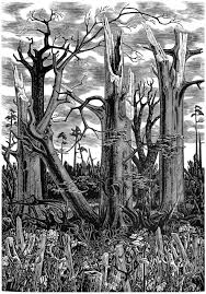 Spring After The Hurricane Or Spring 1988 By Monica Poole This Engraving Was Made For The Publication Of 5 Commissio Wood Engraving Woodcut Woodcuts Prints