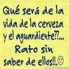 Epingle Sur Humor