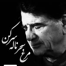 ali.gharib (@ali.gharib.iran) • Instagram photos and videos