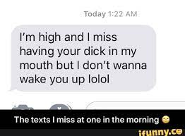 I'm high and I miss having your dick in my mouth but I don't