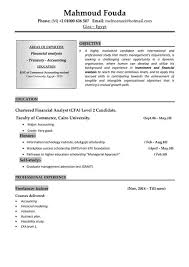 Ahmed Almaharby junior accountant CV