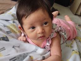 Meet Greater Sudbury's newest citizens