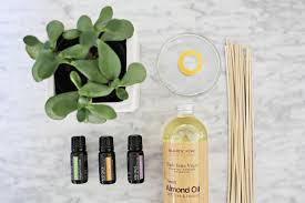 Bio zitrone öl eignet sich zum würzen und verfeinern von speisen und getränken, für die raumbeduftung und die herstellung von kosmetik. Raumduft Selber Machen Diy Ideen Mit Weichspuler Natron Und Co