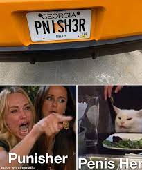 Lady Vs Cat Meme License Plate
