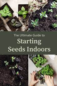 Starting Vegetable Seeds Indoors Why What You Need And How The Maker Makes Starting Vegetable Seeds Seed Starting Starting Seeds Indoors