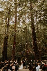 California Redwoods Wedding Forest Theme Wedding Redwood Wedding Forest Wedding Venue