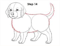 You can add tints and shades to the dog's fur using # 2 pencil or colored pencils. How To Draw A Puppy Video Step By Step Pictures