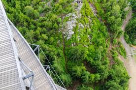 You don't need a treehouse to appreciate the convenience of the canopy stair. Free Images Vegetation Green Tree Canopy Walkway Architecture Infrastructure Forest Roof Plant Rainforest Real Estate Road Landscape Bridge Aerial Photography Thoroughfare Jungle House Nonbuilding Structure 4500x2980 Lukas