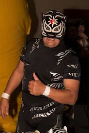 Afp the crowd goes wild as the masked wrestlers toss each other around the ring in colorful spandex. Pantera Wrestler Wikipedia