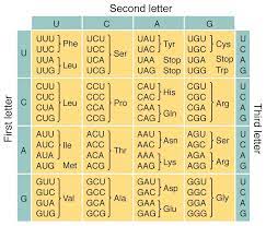 What Is Life Part Ii Biomolecules And The Genetic Code New Criticals Coding Stop Codon Genetics