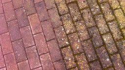 Garten Pflege Tipps Fur Pflanzen Und Ideen Zur Gestaltung Garten Pflaster Pflastersteine Garten