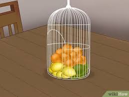 First freezing cold, then snow. 3 Simple Ways To Decorate A Bird Cage Wikihow
