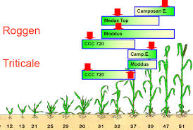 Serve in dimpled mug · stein · weizen ·. Http Www Roglernet De Downs Skripten 15 Grundlagengetrbestfuehr15 Pdf