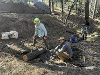 Erosion Control in the Catalinas