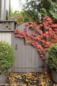 We did not find results for: Autumn Colour Janet Davis Explores Colour