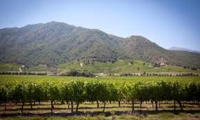 Set in the middle of chile's beautiful wine country, radisson hotel curico makes an ideal home base for business and vacation trips to the area. 10 Best Curico Hotels Chile From 42
