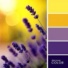 How To Match The Interior Colors The Color Table Woman And Everything Summer Color Palette Color Palette Design Color Schemes Colour Palettes