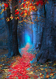 Autumn Magic Location Ilidza Sarajevo Bosnia Beautiful Nature Wallpaper Autumn Magic Nature Wallpaper