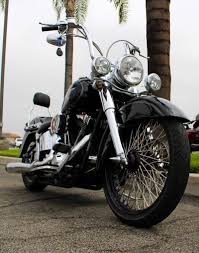 Image result for Vivid Black 1993 FLSTF