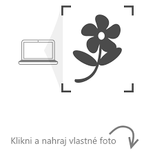 Sleduj iba presné fakty, ktoré si jediné zaslúžia dôveru. Pohladnice Sk K Narodeninam