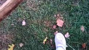Electric fences are often the simplest solution to containing animals or excluding wildlife in an area of your property. Homemade Electric Fence Tester Youtube