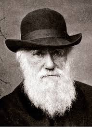 Charles Darwin: Marine inspiration for the conception of the Rosetta Stone  of biology!