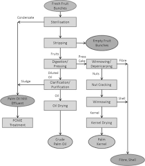 Flow chart for the palm oil process (from sivasothy, 2000). Palm And Palm Kernel Oil Production And Processing In Malaysia And Indonesia Sciencedirect