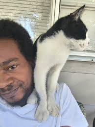 Hi y'all! I'm still looking for a special small free kitten to be a friend  to my male tuxedo kitty. Preferably not another tuxedo, in Grand Prairie  area.