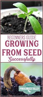 Because plants need the sun to grow, many of them, including most fruits and veggies, need a good amount of direct sun during the day. Do You Want To Grow A Garden But Aren T Sure Where To Start Our Seed Sowing Guide For Beginners Gardening For Beginners Growing Vegetables Organic Vegetables