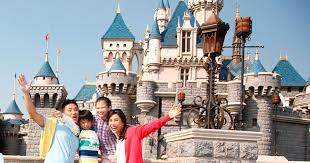 The camelids, as a family, include the new world camelids: Hong Kong Disneyland What You Need To Know
