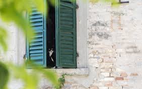 We did not find results for: Visit Senigallia Italy Things To Do In Senigallia Beyond