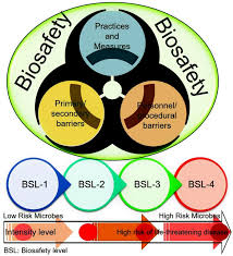 Maybe you would like to learn more about one of these? Ijerph Free Full Text Improved Biosafety And Biosecurity Measures And Or Strategies To Tackle Laboratory Acquired Infections And Related Risks