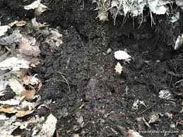 Do i need to till my garden. Transitioning To A No Till Garden Tenth Acre Farm