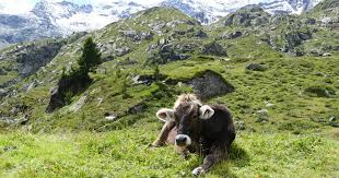 August 2021 ist in der kw 34 2021. Ferienkalender 2021 Fur Osterreich Urlaubsplanung Dad S Life