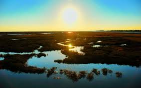 The tides are entirely responsible for the water circulation inside the lagoon. Ria Formosa Natural Park Tourist Attractions Tavira Guide