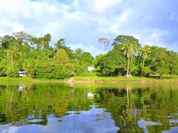 Sie haben die wahl zwischen verschiedenen arten von mietautos, vom kleinwagen bis zum minivan. Reisebericht Suriname My Travelworld