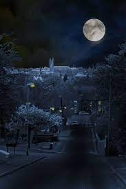 magical nature tour beautiful moon good night moon moon shadow