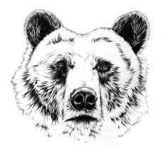 The best selection of royalty free grizzly bear tattoo head vector art, graphics and stock illustrations. Realistic Uncolored Bear Head Tattoo Design Tattooimages Biz