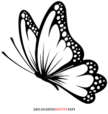 Butterfly Image Butterfly Tattoo Designs Butterfly Drawing Butterfly Art