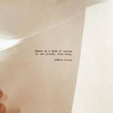  11 Slow Down Quotes Ideas Me Quotes Quotes Life Quotes